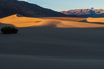 Fototapeta na wymiar The Mesquite Flat Sand Dunes Near the Foot of Tucki Mountain, Death Valley National Park, California, USA