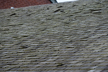 Old gray shingle roof © Victor