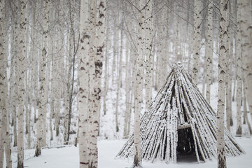 snow covered tree
