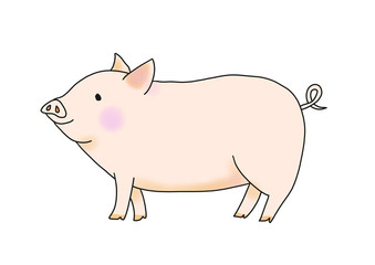 微笑むブタ
