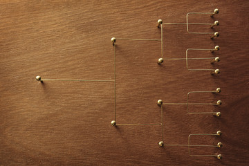 Hierarchy, command chain, company / organization structure or layer and grouping concept image. Top down structure made from gold wires and nails on rustic wooden surface. Shallow depth of field.