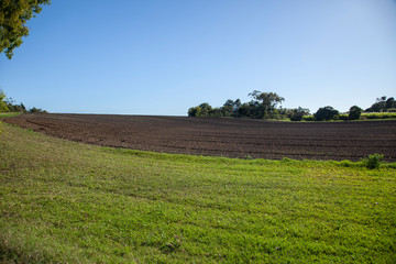 Fototapeta na wymiar A new plowed field ready to plant sugar cane.