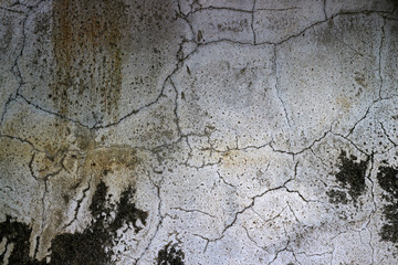 Old cement wall for background and design.