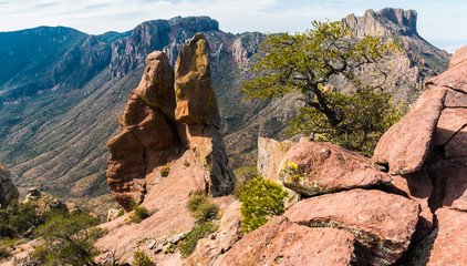 Rock Formations on The Lost Mine Trail, Big Bend National Park,Texas,USA