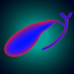 Gall Bladder Human Digestive System Anatomy 3D Rendering
