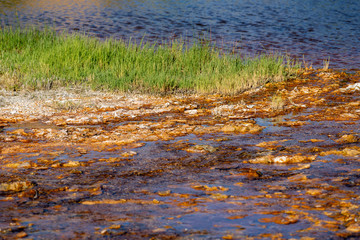 Grass growing in the rocky mineral water in Hot Springs State Park in Thermopolis, Wyoming