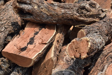 Cut Firewood
