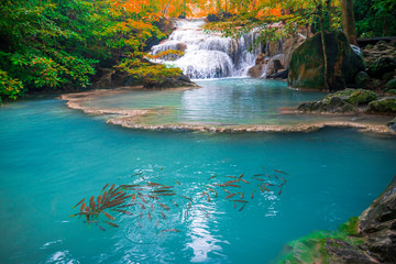 Waterfalls and fish swim in the emerald blue water in Erawan National Park.