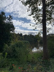 lake in the forrest