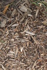 close up of a pile of dried herbs