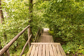 Wooden stairs and platform in the forest