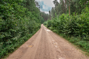 Fototapeta na wymiar Country side road in the forest summer time