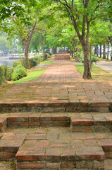 Walking way and green tree in historic park of city