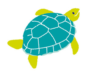 カメ　イラスト