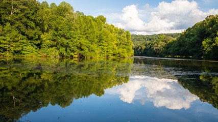 lake in the park