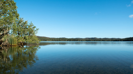 Trees and lake in Bungwahl, Australia