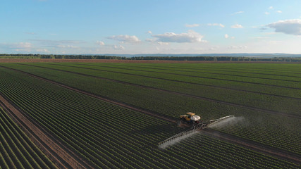 Spraying the field. Potato processing