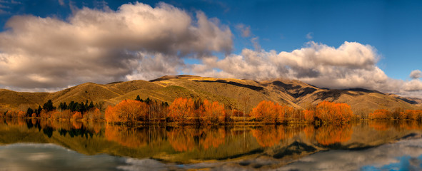 Fototapeta na wymiar Autumn colour in the lakeside trees under a blanket of cloud at Wairepo Arm Twizel