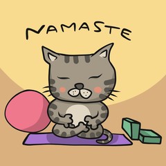 Namaste tabby cat play yoga cartoon vector illustration