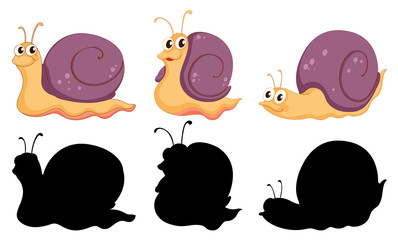 Set of snail cartoon character and its silhouette on white background