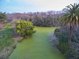 Beautiful green lake located in the middle of a natural reserve in Berazategui, Buenos Aires,...