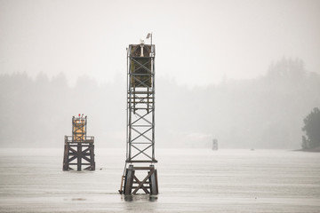 USA, Oregon. Columbia River, buoy markers for boaters on Columbia River.