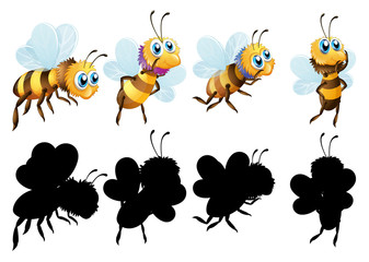 Set of insect cartoon character and its silhouette on white background