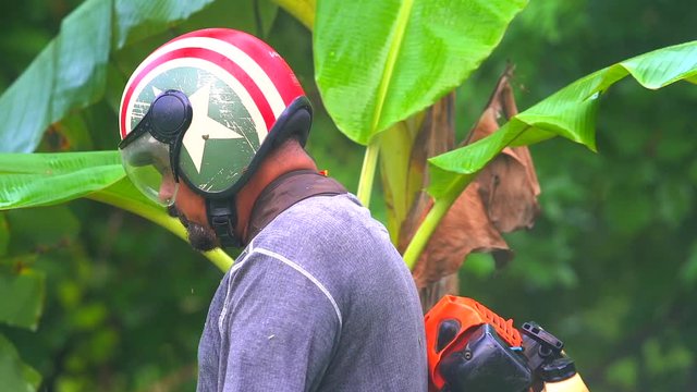 brush cutter machin cutting grass men