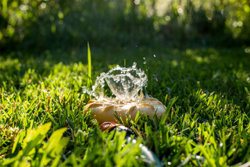Universal garden sprinkler on a green lawn with a water fountain