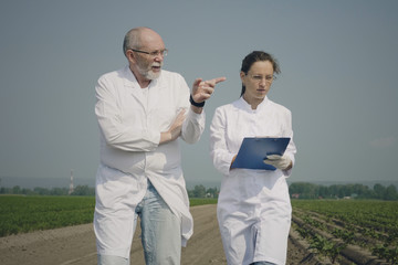 Two agronomists in white coats walking along the agricultural cultivated field and talk. Biologists checking plants outdoors. Lifestyle, gardening, horticulture, agriculture.
