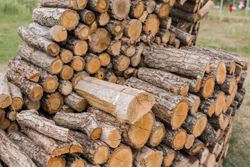 wooden logs lie in a huge pile