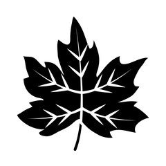 dry leaf icon, silhouette style