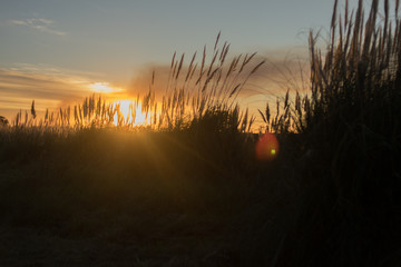 atardecer