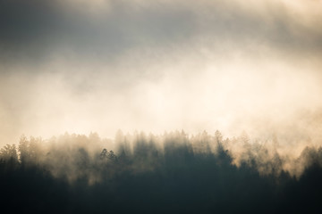 Wald und Berge mit Nebel Wolken im Sonnenuntergang - Abend im Karwendel