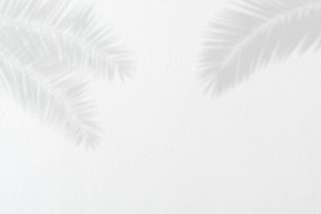 Creative layout tropical leaves on empty white cement concrete material wall texture background. Minimal summer exotic concept with copy space
