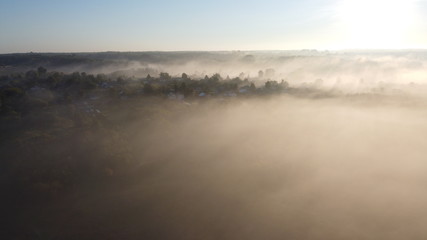 Fototapeta premium foggy morning over the forest.