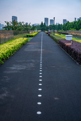 A lane specific for bicycles in Expo Park, along the Huangpu River, in Shanghai.