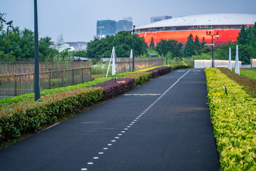 A lane specific for bicycles in Expo Park, along the Huangpu River, in Shanghai.