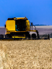 Fototapeta na wymiar Combine harvester on a yellow wheat field in Bazil