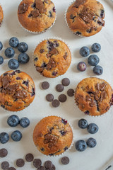 chocolate chip muffins with blueberries