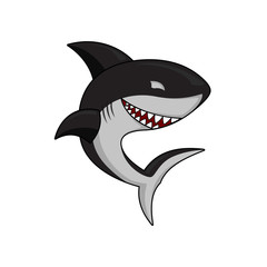 shark mascot design 