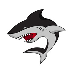 angry shark illustration 