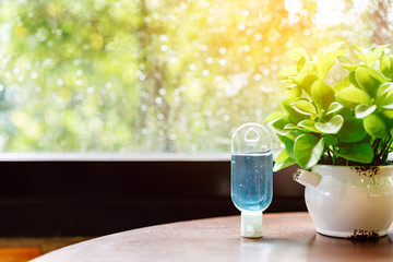 Blue alcohol gel bottle for hand cleaning to prevent the spreading of the Coronavirus (Covid-19), Placed on table to service for customers in the cafe. Healthcare concept. New normal lifestyle