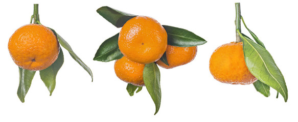 ripe orange tangerines with leaves group isolated on white