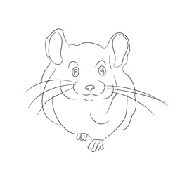 mouse vector illustration, line drawing, vector
