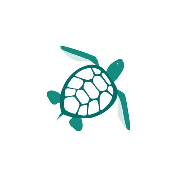 Sea turtle blue icon or symbol flat vector illustration isolated on white.