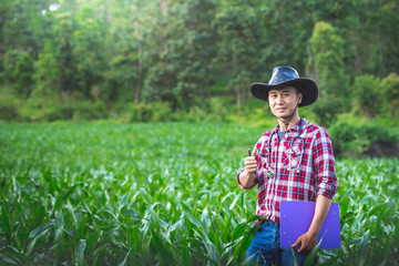 Young farmer happy and smiling in corn field because corn tree is strong and healthy, Agribusiness concept.