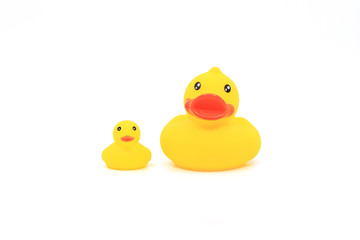 yellow rubber duck