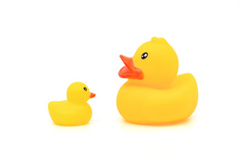 yellow rubber duck