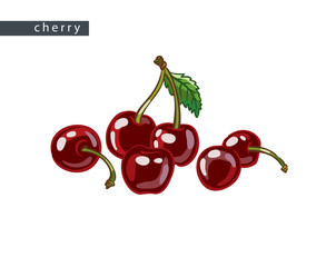 sketch_cherry_six_fruits